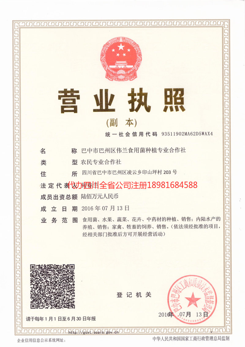 鹿泉鹿泉伟兰食用菌种植专业合作社